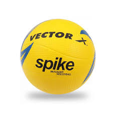 Vector X